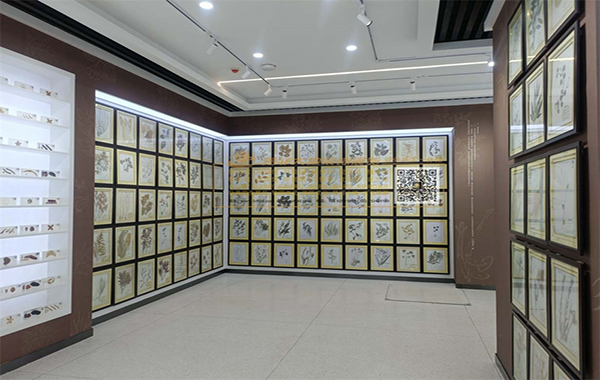 青海衛(wèi)生職業(yè)技術(shù)學(xué)院標(biāo)本陳列館設(shè)計
